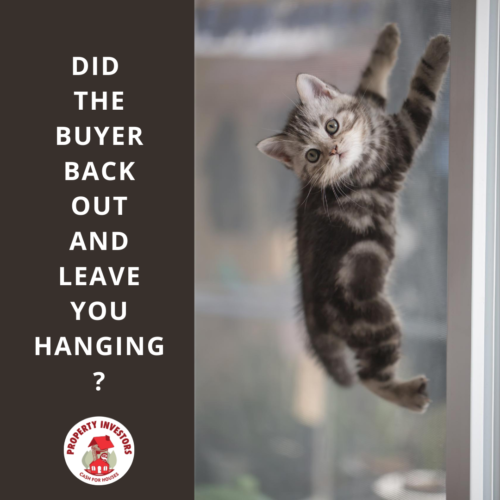 Did the buyer back out and leave you hanging? Cat hanging on a screen door